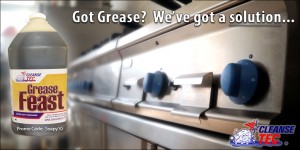 grease feast, worlds best degreaser