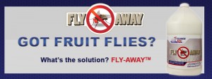 fly away - fruit fly eliminator