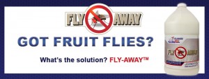 Cleanse Tec - Fly Away - Fruit Fly Eliminator