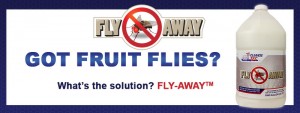 Cleanse Tec - Fly Away - fruit fly eliminator